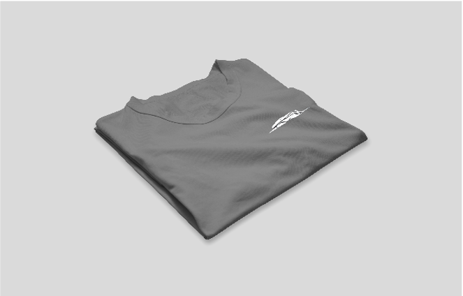 T-Shirt de couleur gris personnalisé (S,M,L)